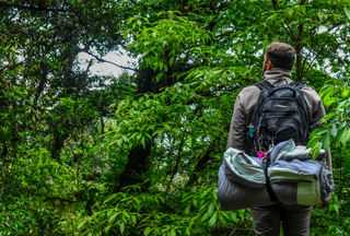 A hiker with a backpack and bedroll looking into dense green forest
