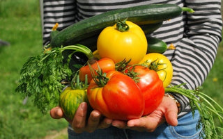Caring for Your Garden Crops as They Grow