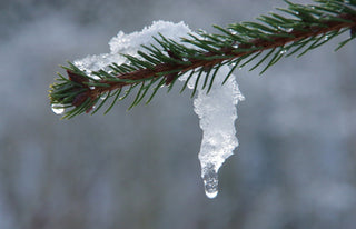 9 Ways Snow Can Keep You Going in an Emergency