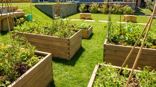 A Victory Garden Could Save Your Life Someday