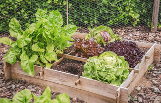 Gardening 101 = Preparedness 101