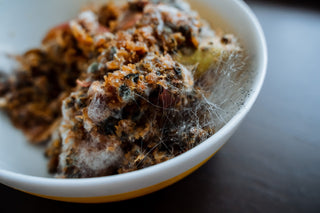 7 Food Safety Myths to Avoid