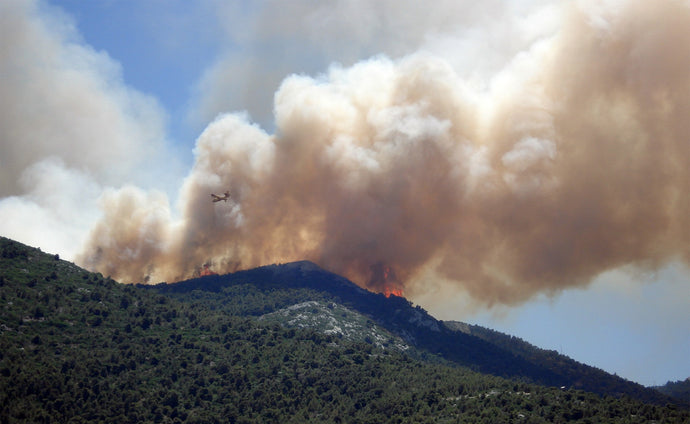 Wildfire Season Is off to a Sizzling Start