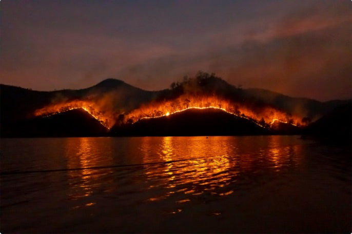 Wildfires Are Poisoning Our Drinking Water