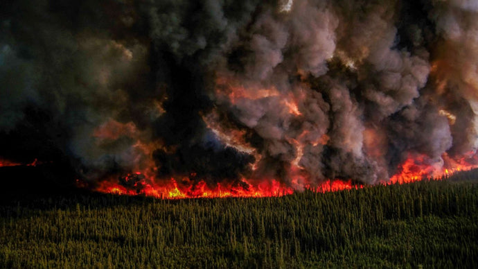 Canadian Wildfires Sending Harmful Smoke Our Way