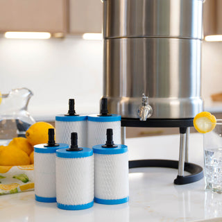 Patriot Pure Nanomesh Filter 5-pack on a kitchen counter beside the stainless Ultimate Water Filtration System, survival water purification filters