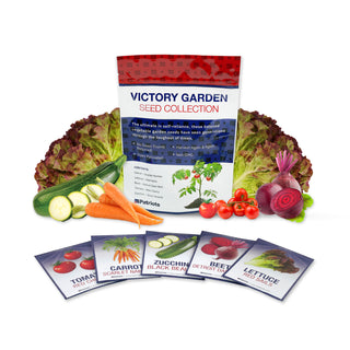 4Patriots Victory Garden Seed Collection bag surrounded by fresh vegetables with five individual seed packets for Tomato Red Cherry, Carrot Scarlet Nantes, Zucchini Black Beauty, Beet Detroit Dark Red, and Lettuce Red Sails