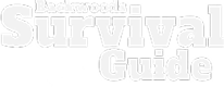 Alt text not provided for this image