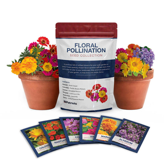 4Patriots Floral Pollination seed kit