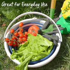 Hold & Fold Collapsible Bucket holding different vegetables