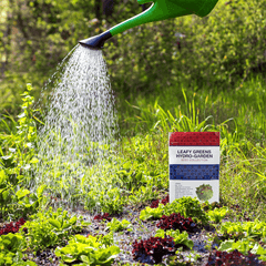 LeafyGreens Hydro-Garden Seed Kit shown outside in the garden. 