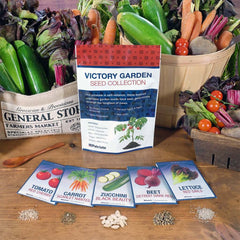 Victory Garden Seed Vault Collection with seeds showing: tomato, carrot, zucchini, beet and lettuce